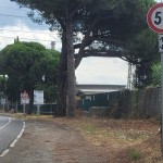 Via Aurelia Carrara 2