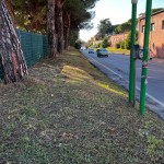 via Oliveti