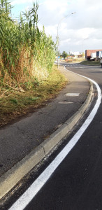 Via Massa Avenza