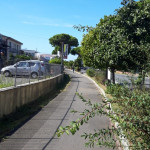 Via Aurelia