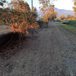 Aree verdi lungo Ricortola in Via Martiri di Cefalonia