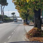 Viale Zaccagna