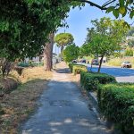 Via Aurelia