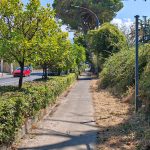 Via Aurelia