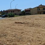 Via Massa Avenza parcheggio Grendi