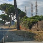 via Aurelia