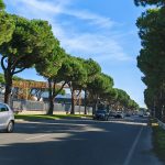 Via Dorsale