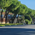 Via Dorsale
