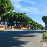 Via Dorsale