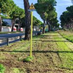 Via Dorsale