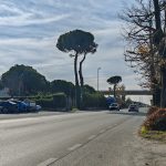 Viale Zaccagna