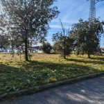 Via Dorsale