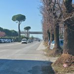 Viale Zaccagna