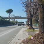 Viale Zaccagna2